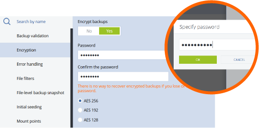 Encrypted Backup Data