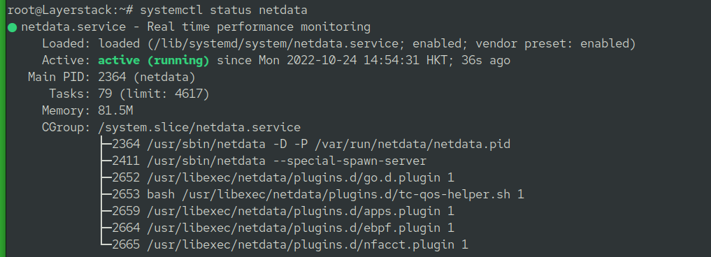 netdata3