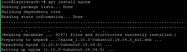 nginx11