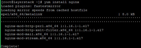 nginx2