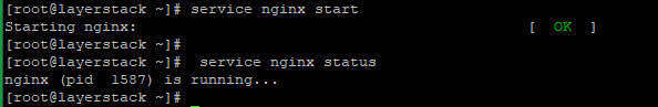 nginx8