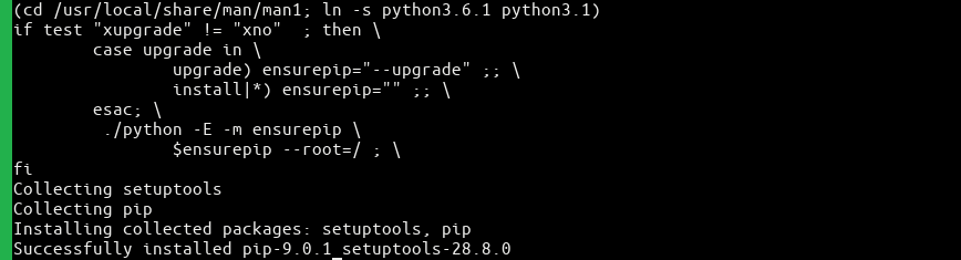 python11