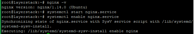 tlsnginx15