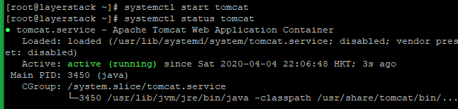 tomcat4